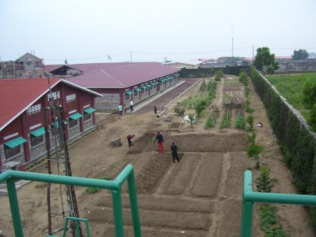 montngafula